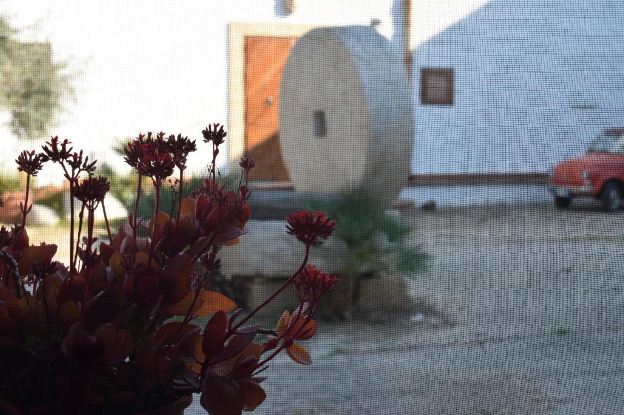 Casa Dell'olio - Al Baglio Holiday home *