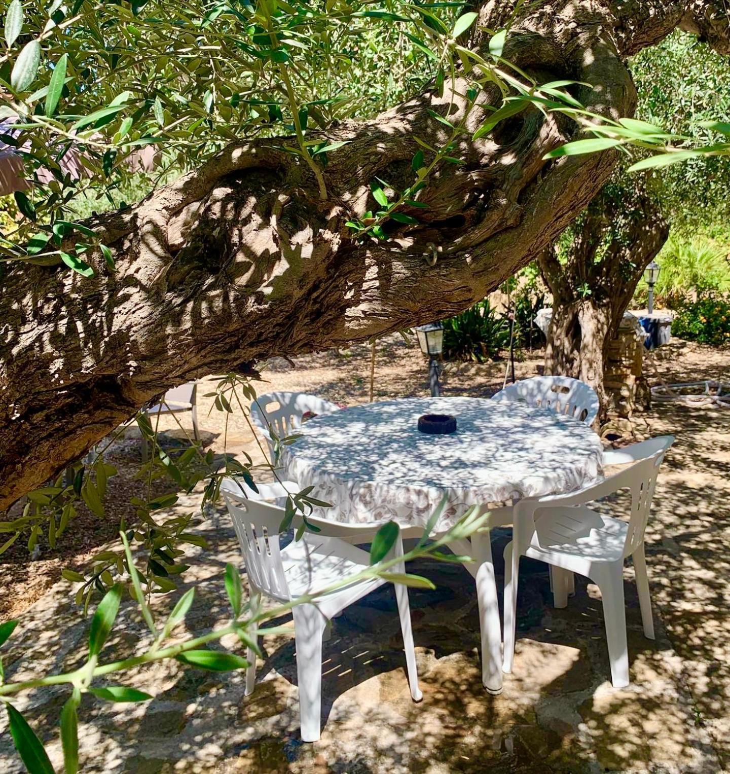 Casa Dell'olio - Al Baglio