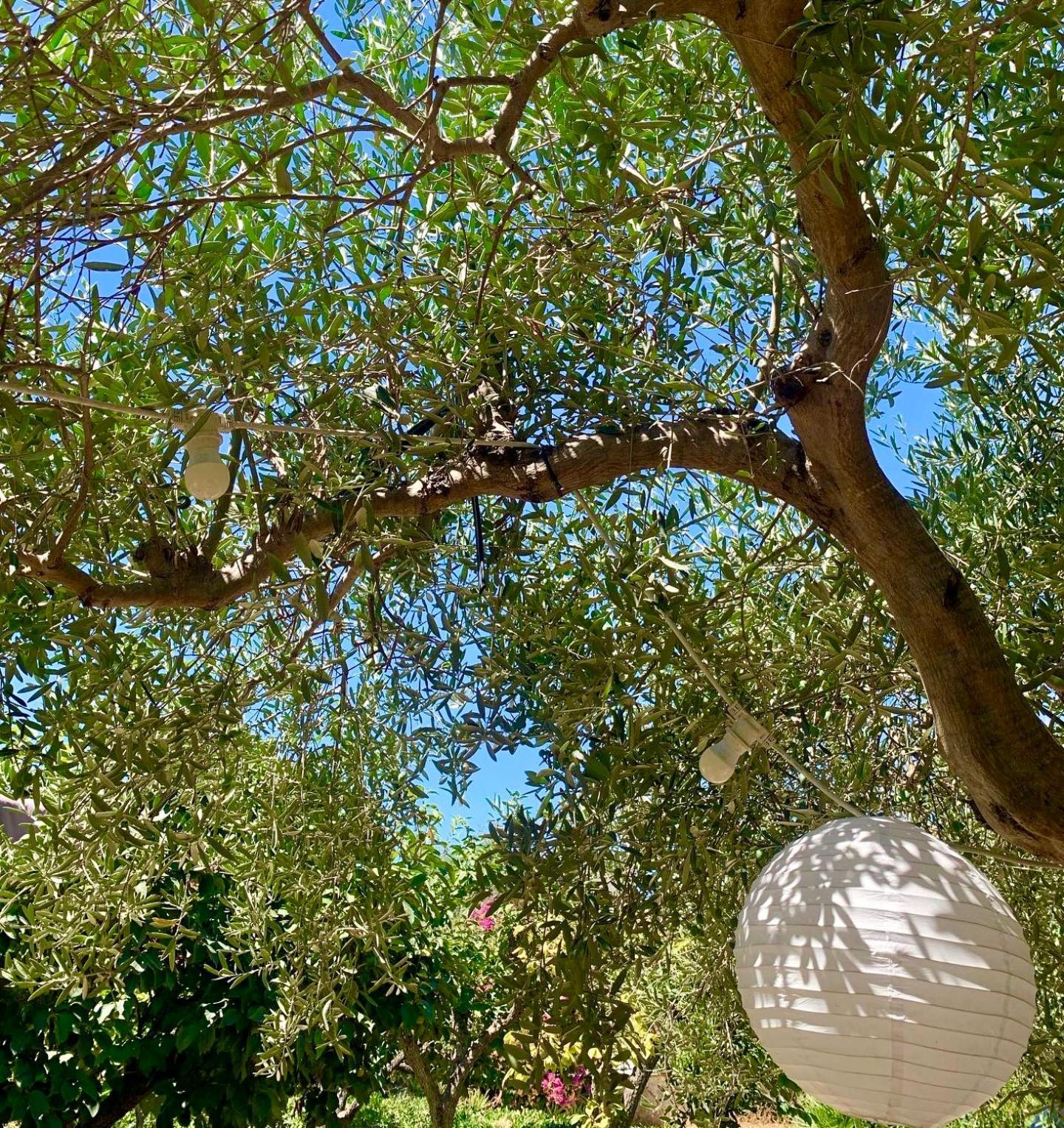 Holiday home Casa Dell'olio - Al Baglio Paceco