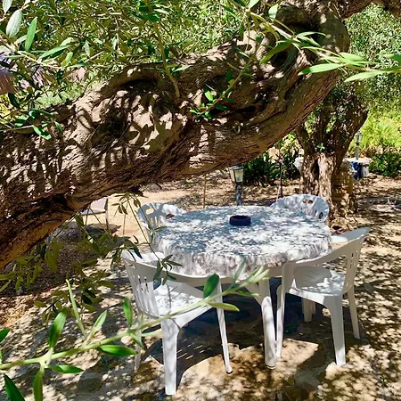 Villa Casa Dell'Olio - Al Baglio Paceco Exterior foto